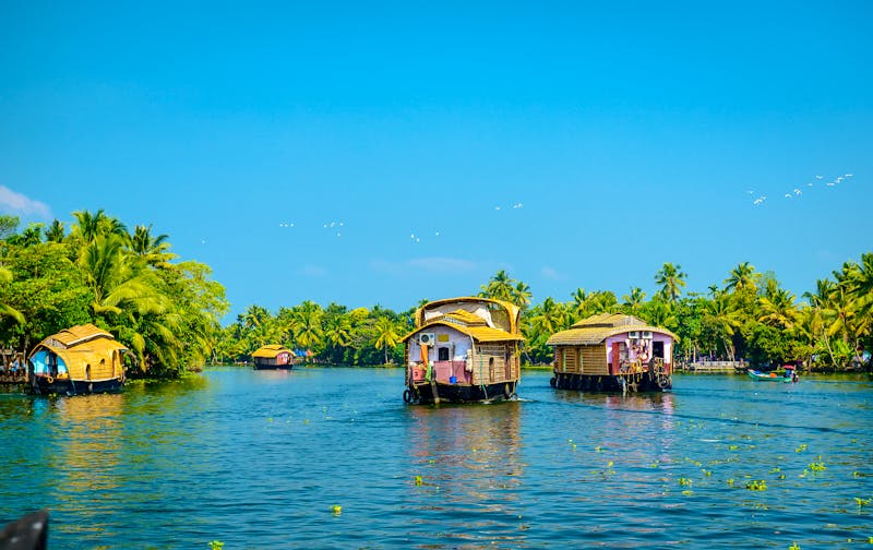 Hausboot in den Backwaters von Kerala, Indien - ©©Mivr - stock.adobe.com