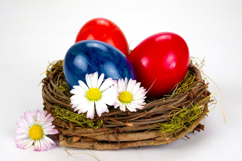 Osterkörbchen mit Ostereiern - ©©VRD - stock.adobe.com