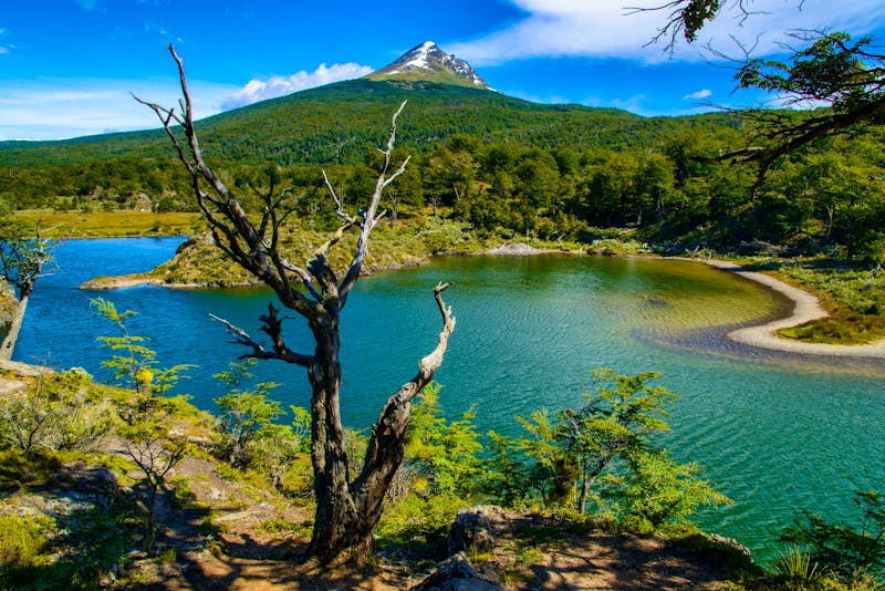 Feuerland Nationalpark - ©©Pat on stock - stock.adobe.com