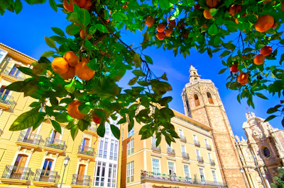 Rundreise Valencia und die Orangenküste in Spanien