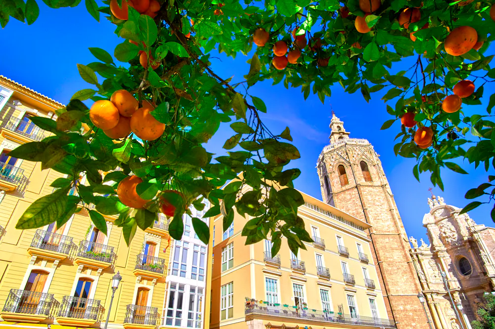 Orangenbaum und Kathedrale in Valencia &ndash; &copy; ©twindesigner - stock.adobe.com