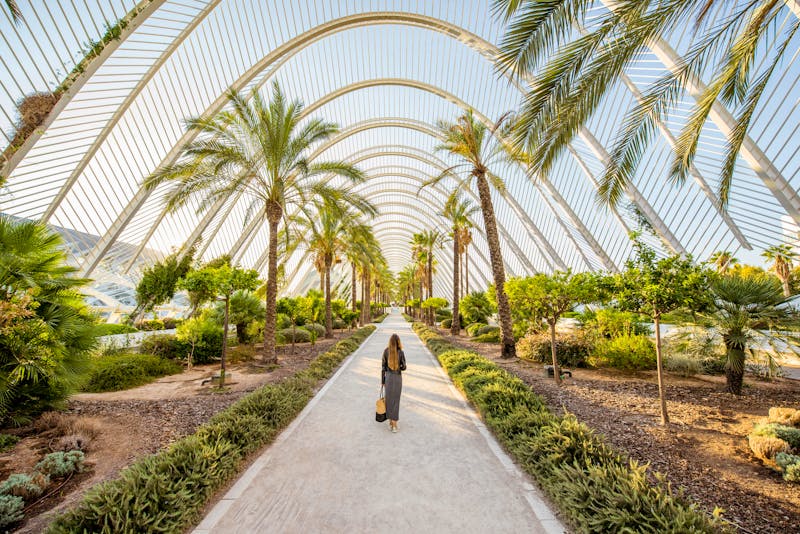 Park der Wissenschaft und Kunst in Valencia - ©©rh2010 - stock.adobe.com