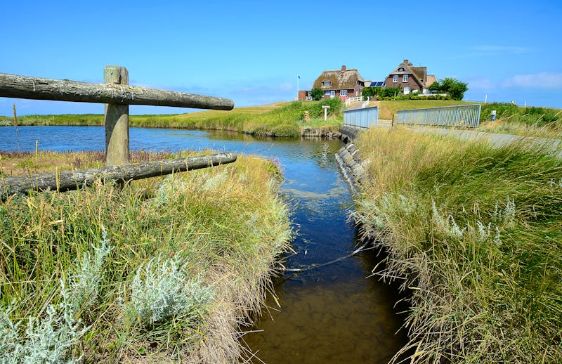 Westerwarft, Hallig Hooge - ©©Inge Knol - stock.adobe.com