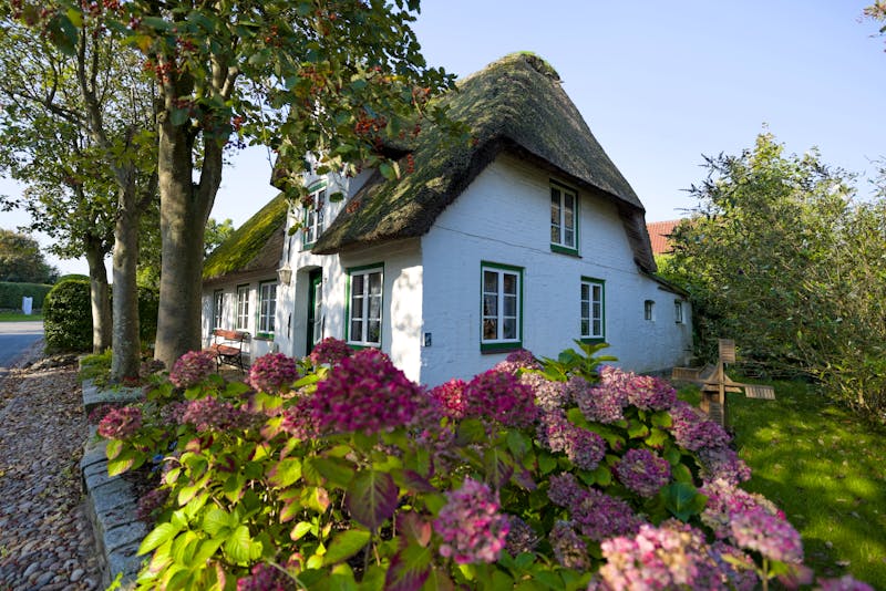 Friesenhaus auf der Insel Föhr - ©©artfocus - stock.adobe.com