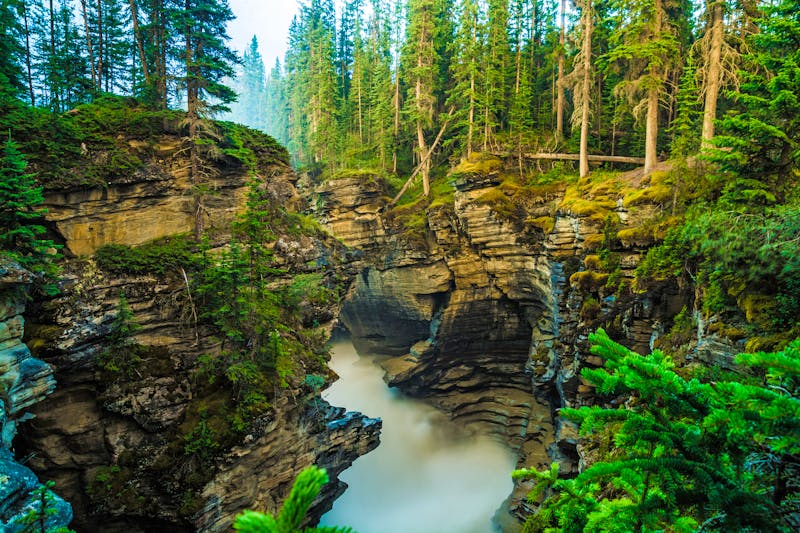 Maligne Canyon im Jasper Nationalpark - ©Max Pagano - Adobe Stock