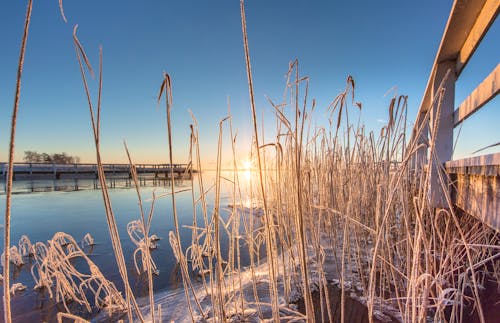 Eislandschaft in Mecklenburg-Vorpommern &ndash; &copy; ©haiderose - stock.adobe.com