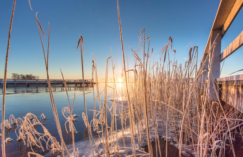 Eislandschaft in Mecklenburg-Vorpommern - ©©haiderose - stock.adobe.com