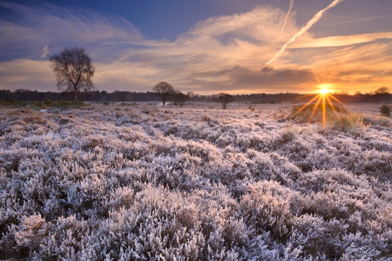 Winterliche Heidelandschaft - ©©sara_winter - stock.adobe.com