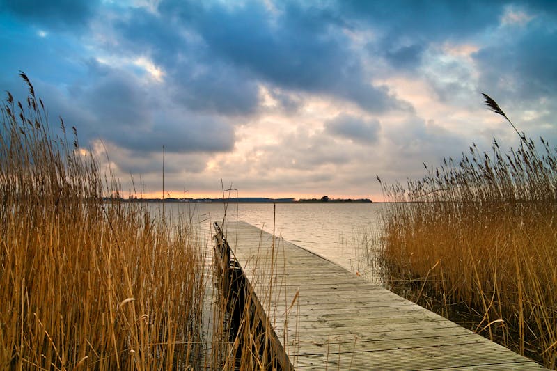 Ostsee-Insel Usedom - Sonnenuntergang am Achterwasser - ©©Rico Ködder - stock.adobe.com
