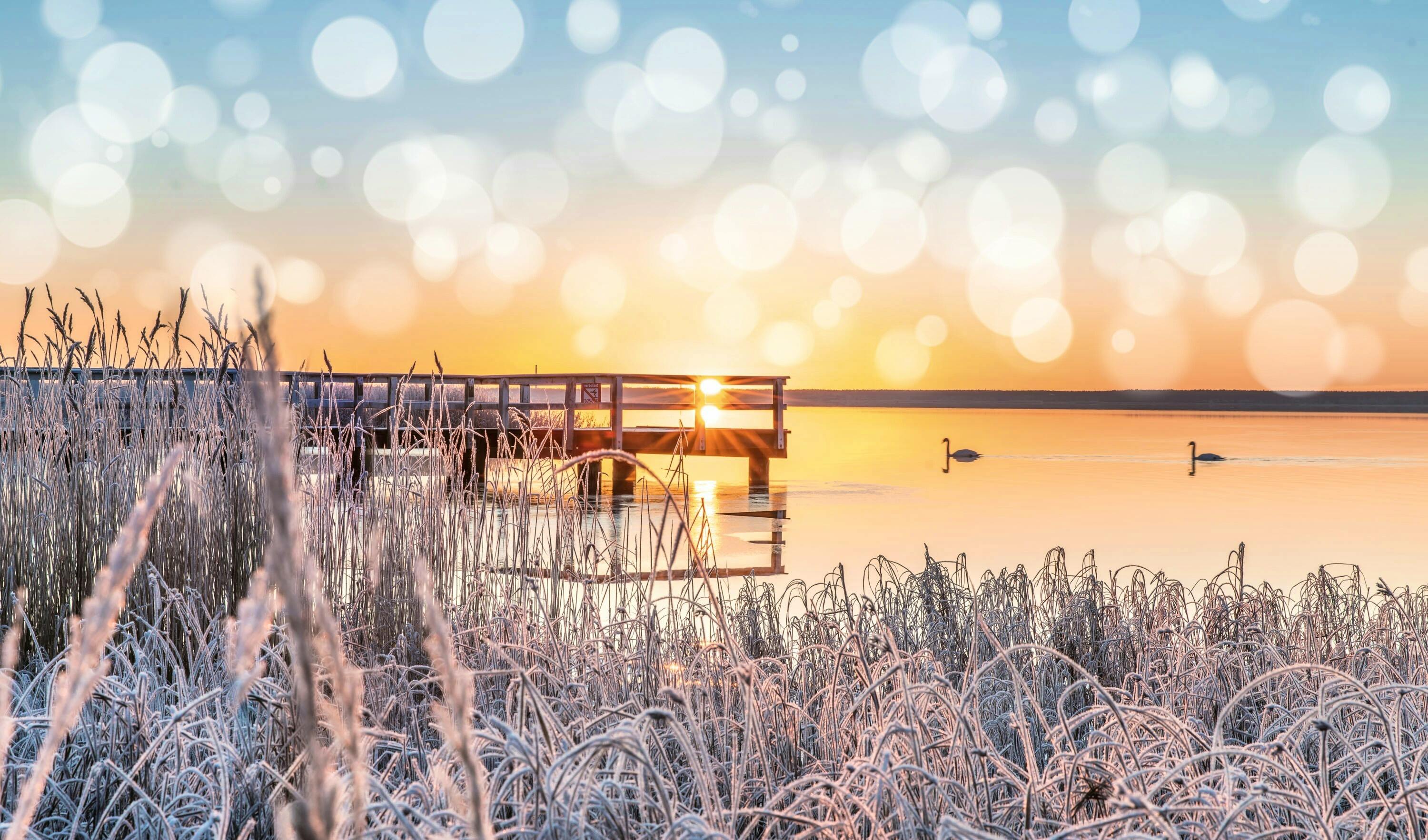 Ostsee-Insel Usedom - Sonnenuntergang am Achterwasser im Winter&nbsp;&ndash;&nbsp;&copy;&nbsp;©haiderose - stock.adobe.com