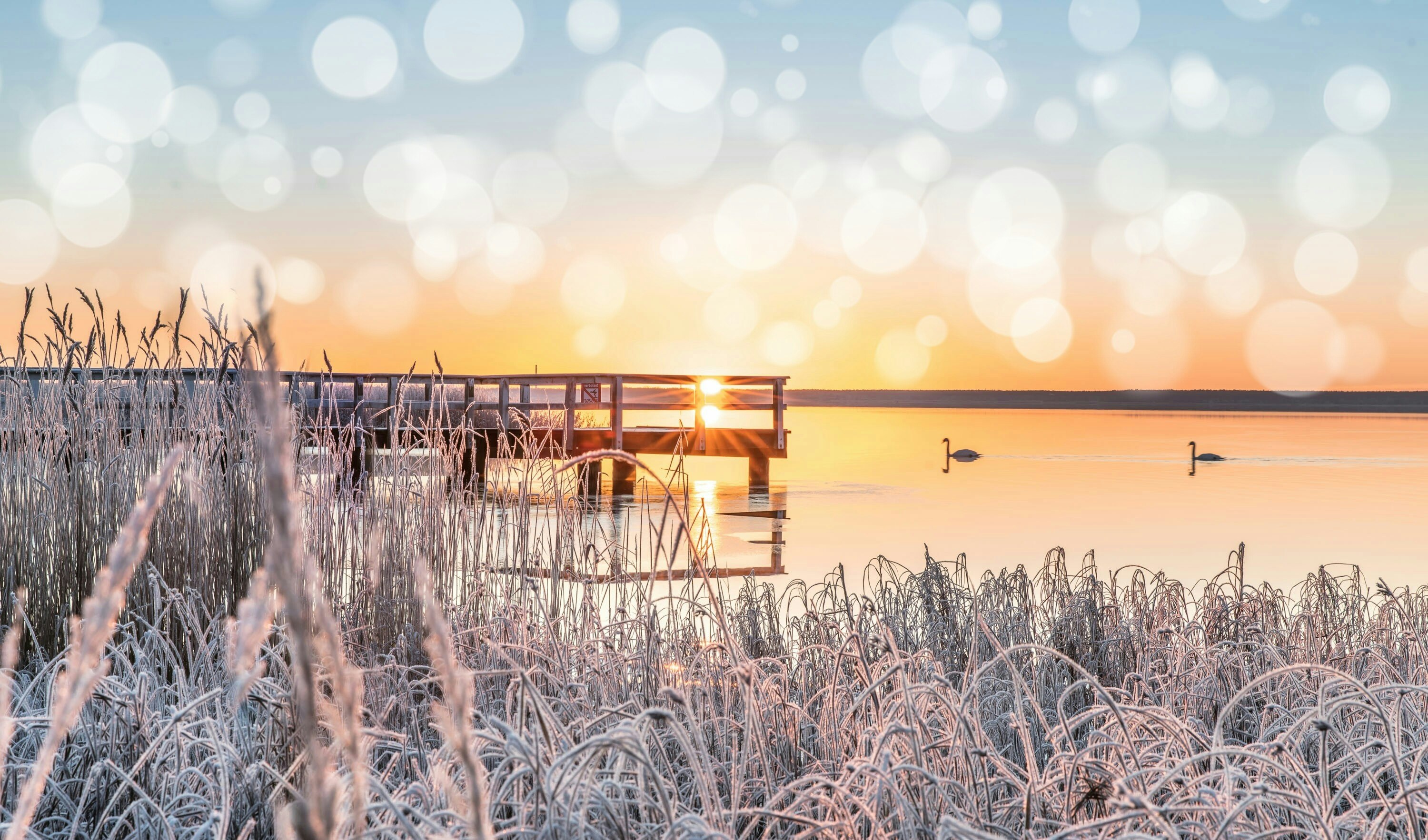Ostsee-Insel Usedom - Sonnenuntergang am Achterwasser im Winter – © ©haiderose - stock.adobe.com