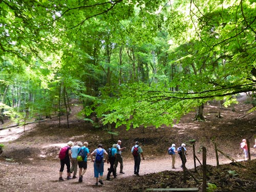 Wanderung im Gargagano-Nationalpark und Foresta Umbra &ndash; &copy; Eberhardt TRAVEL