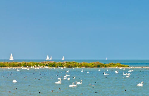 Blick aufs IJsselmeer &ndash; &copy; ©Mediagram - stock.adobe.com