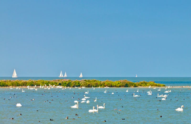 Blick aufs IJsselmeer - ©©Mediagram - stock.adobe.com