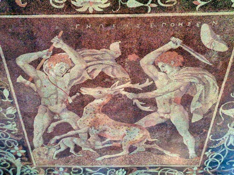 Mosaik in Pella - Nordgriechenland - ©Eberhardt TRAVEL