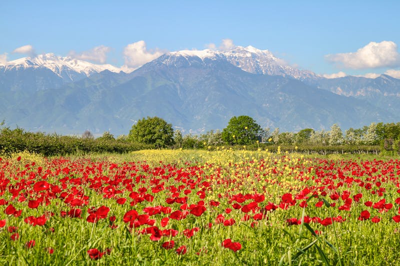 Berge des Olymp in Griechenland - ©©Meer Sommer - stock.adobe.com