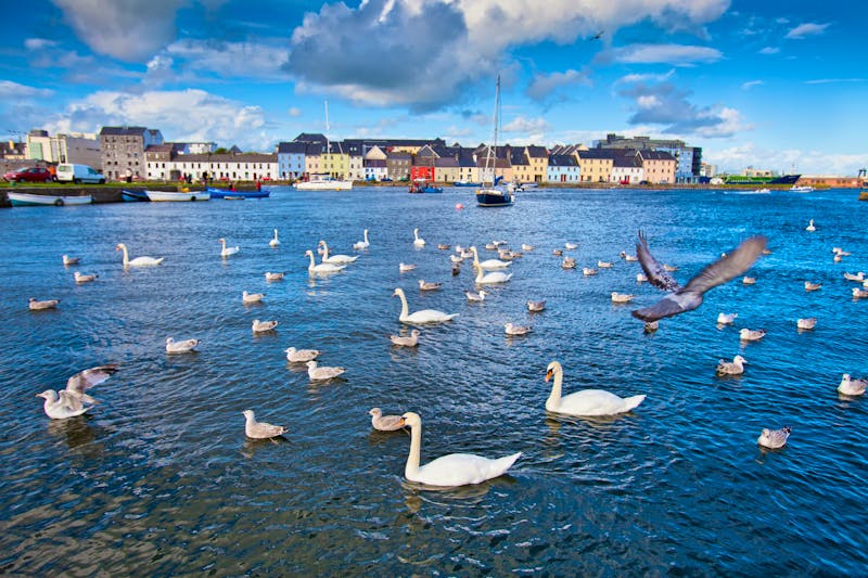 Hafenstädtchen Galway in Irland - ©©luca fabbian - stock.adobe.com