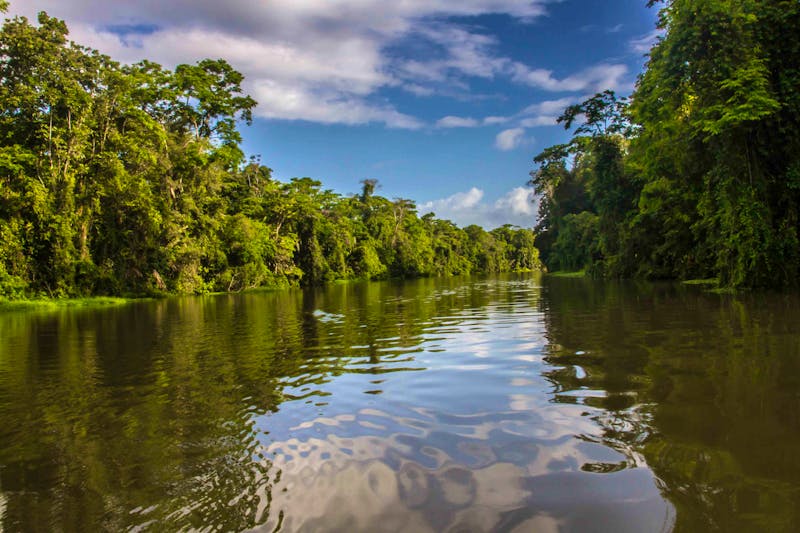 Tortuguero-Nationalpark - ©Swiss Travel Costa Rica