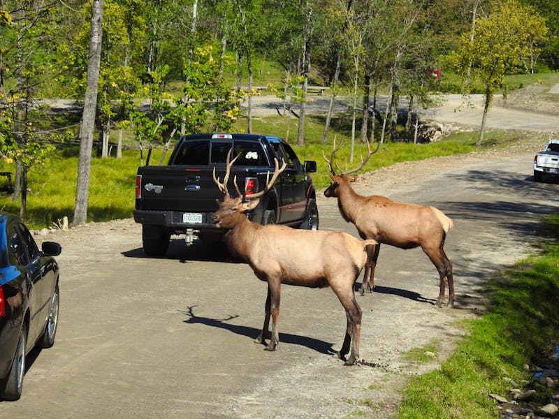 Omega Wildlife Park - ©Eberhardt TRAVEL