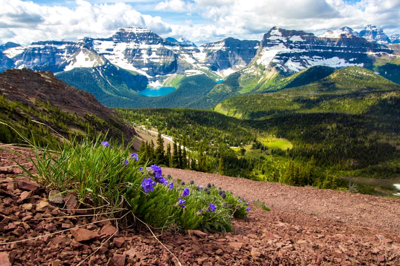 Waterton Lakes National Park - ©Travel Alberta