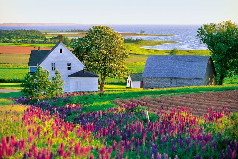 Prince Edward Island - ©Tourism PEI / John Sylvester