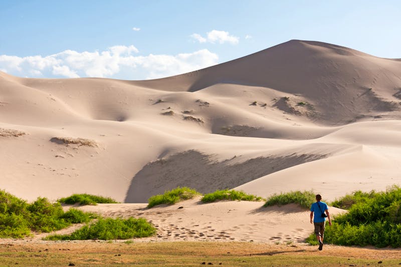 Düne Khongoryn Els in der Wüste Gobi - &copy;©v_apl - stock.adobe.com