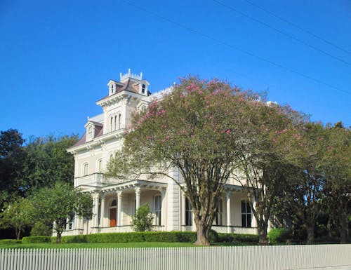 Natchez – © Sylvia Sann