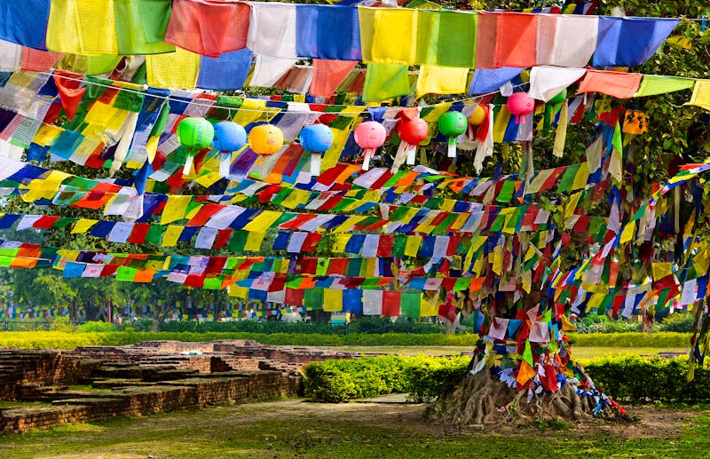 Heiliger Pappelfeigen-Baum in Lumbini, Nepal - ©©Zoran Karapancev - stock.adobe.com