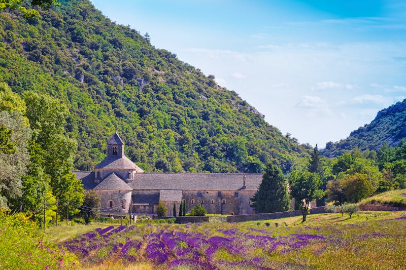 Senanque in der Provence - ©karp5 - stock.adobe.com