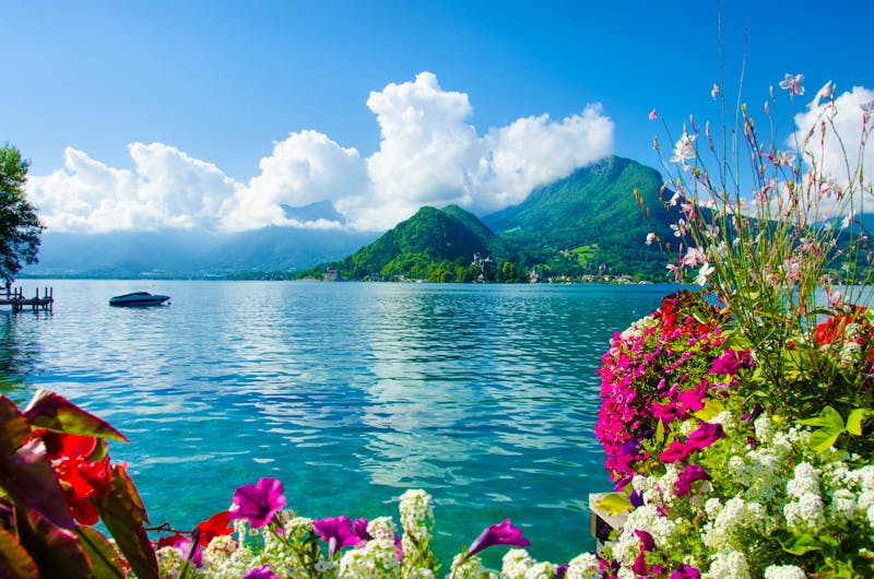Landschaft Annecy See - ©Simon Dannhauer - stock.adobe.com