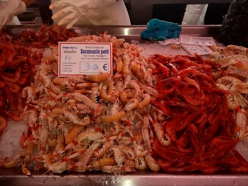 Fischmarkt Ciutadella - ©Bianka Kirsche