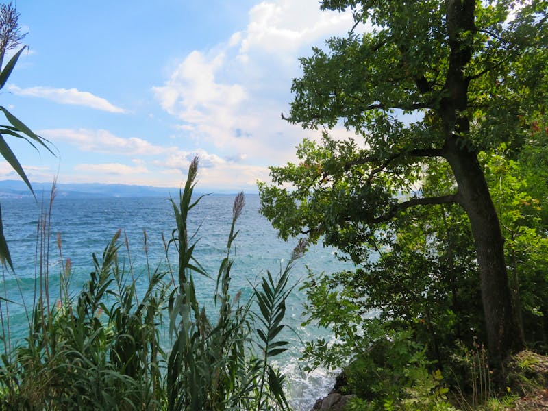 Blick auf dem Weg von Opatija nach Lovran - ©Lena Rautenberg