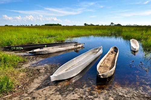 Boote im Okavango Delta &ndash; &copy; lumen-digital – Adobe Stock