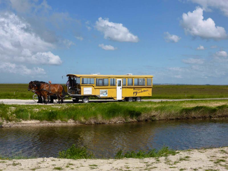 Hallig Hooge - unsere Kutsche - ©Claudia Bernhardt