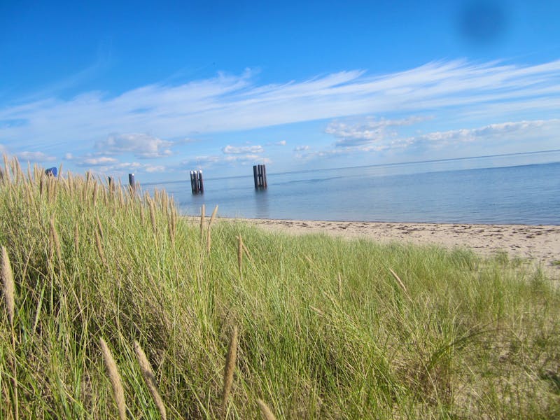 Insel Sylt-Ausflug in List - ©Gisela Gerlach