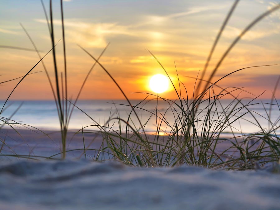 strand, strandhafer, sonnenuntergang am meer – © ©Wilm Ihlenfeld - stock.adobe.com