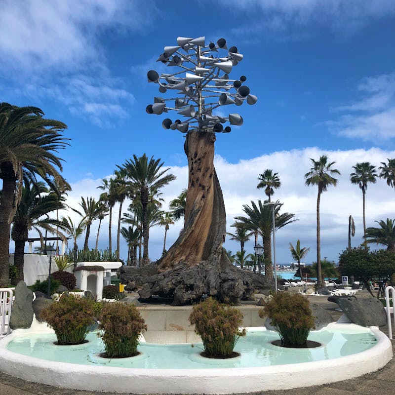 Puerto de la Cruz - ©Marcus Kühn