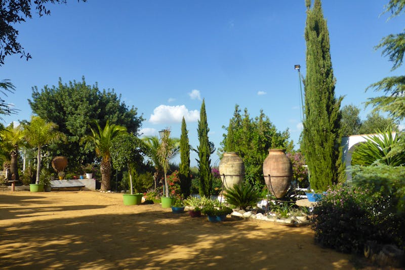 089-Olivenhacienda_Basilippo - ©Dirk Schlosser