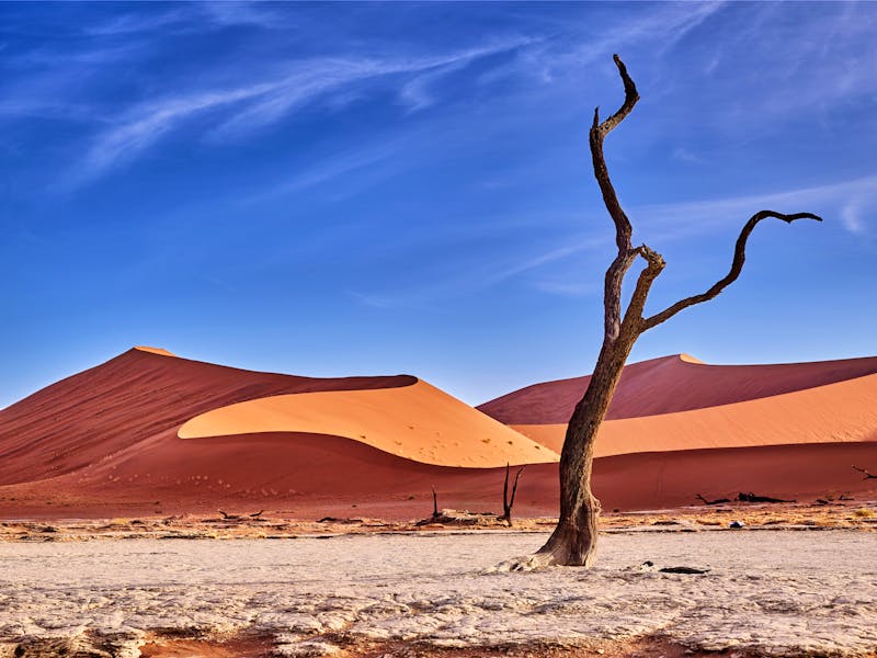 Namib-Wüste - ©the_lightwriter - stock.adobe.com