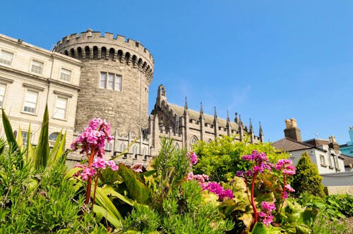 Dublin – Dublin Castle von den Dubh Linn Gärten &ndash; &copy; ©ajfan25 - stock.adobe.com