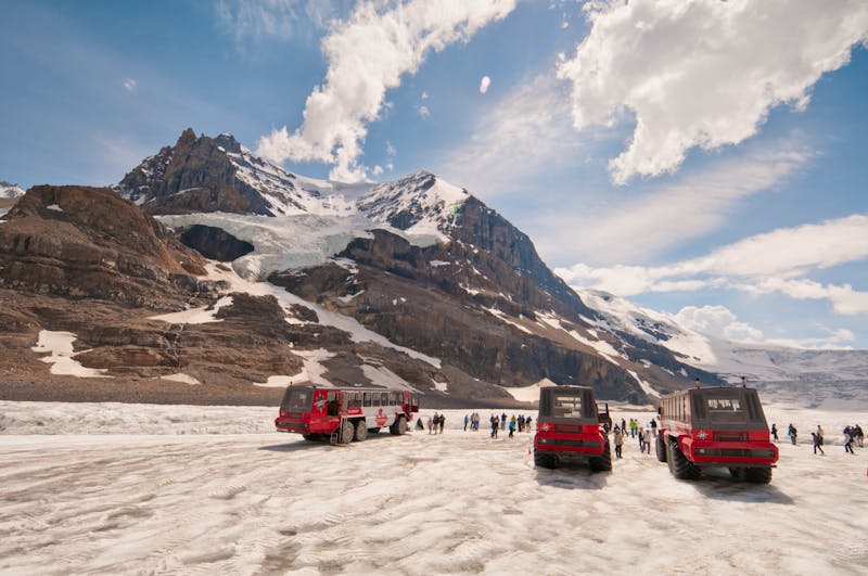 Schneebusse auf dem Columbia-Eisfeld zwischen Banff- und Jasper-Nationalpark - ©©gnohz - stock.adobe.com