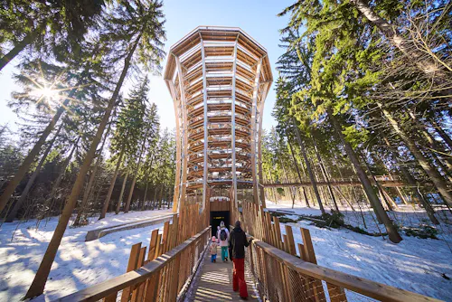 Baumwipfelpfad im Riesengebirge &ndash; &copy; STEZKA KORUNAMI STROMU KRKONOŠE
