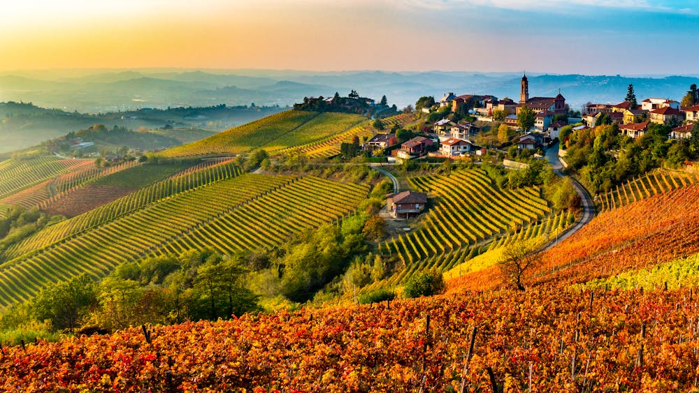 Langhe-Region in Italien &ndash; &copy; Florian – Adobe Stock