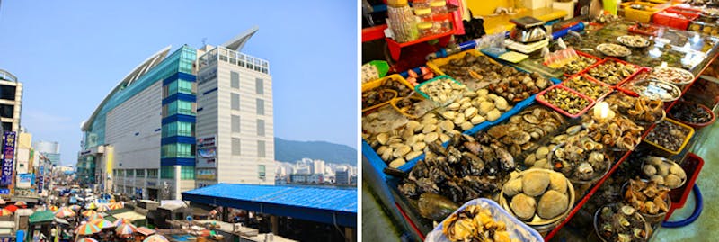 Jagalchi Fischmarkt - ©Korea Tourism Organization