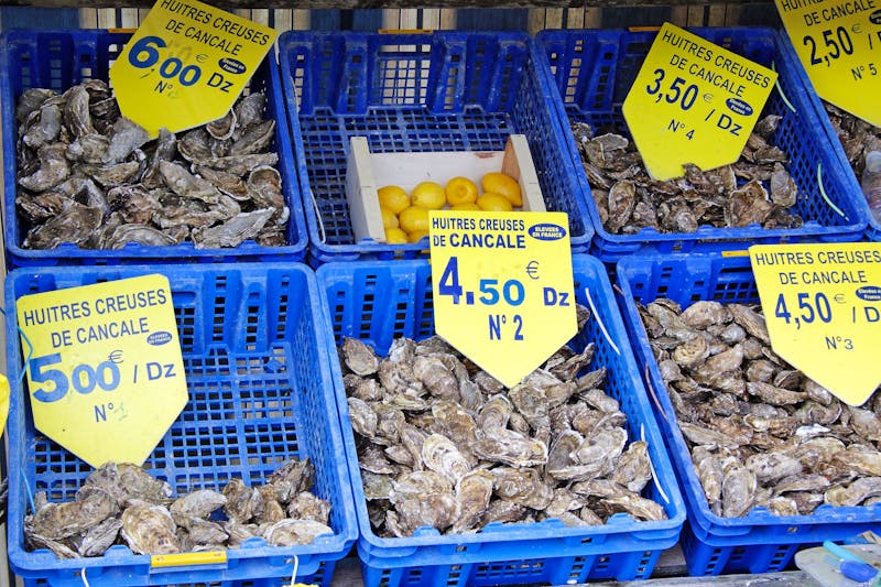 Austernmarkt in Cancale in der Bretagne, Frankreich - ©mpanch - stock.adobe.com