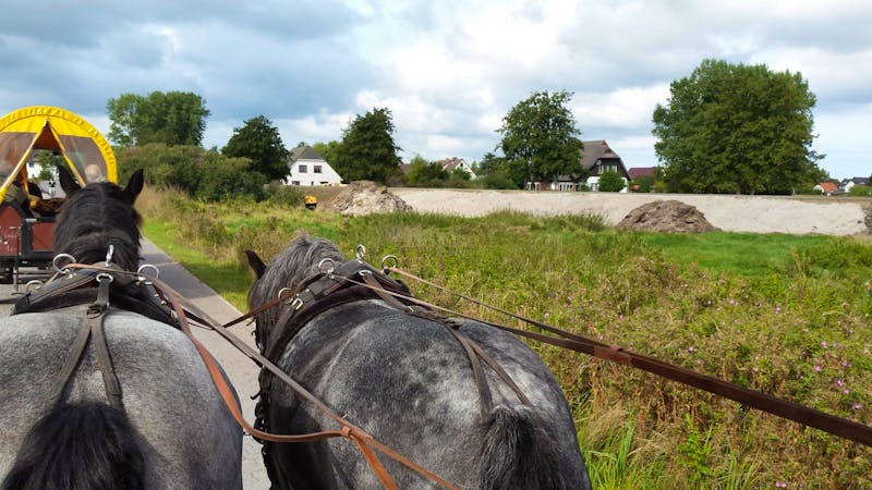 Kutschfahrt auf Hiddensee - Urmeli und Peter - ©Uta Hertel