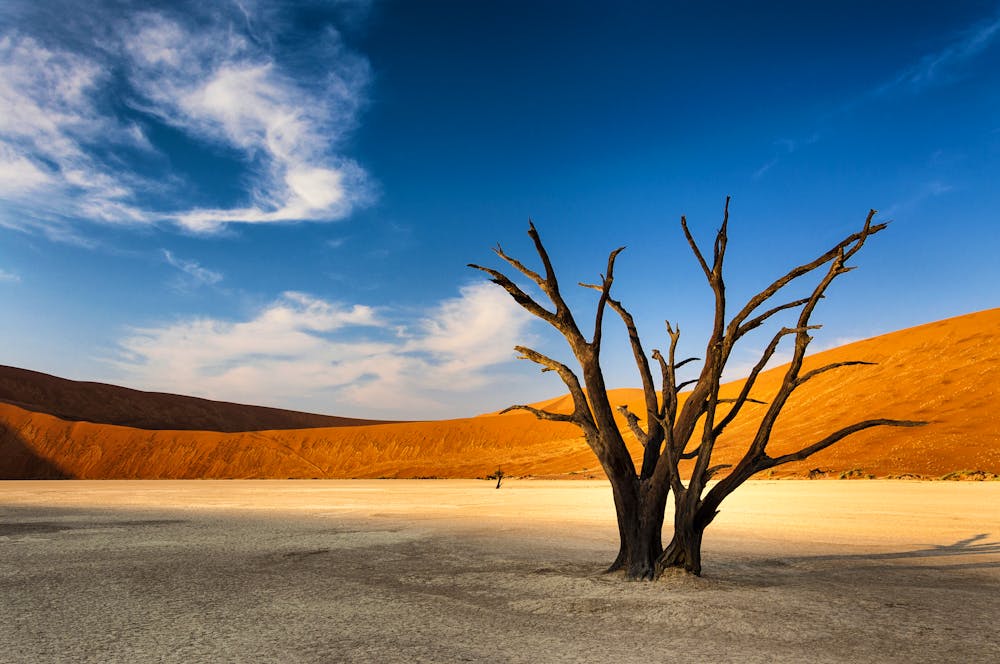 Sossusvlei in der Namib-Wüste, Namibia &ndash; &copy; PeekCC - stock.adobe.com