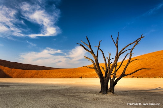 Sossusvlei in der Namib-Wüste, Namibia – © PeekCC - stock.adobe.com