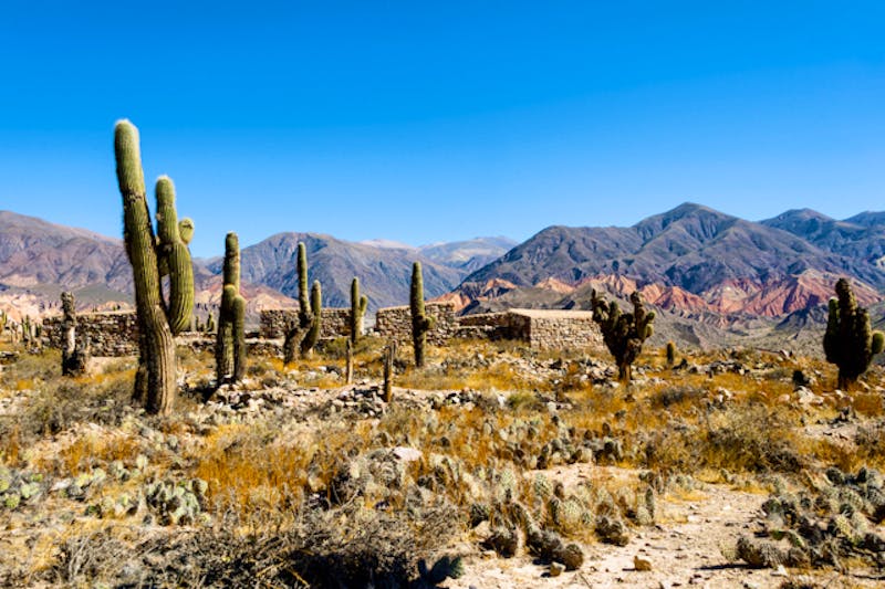 Humahuaca Nationalpark - ©http://www.argentinien-guide.de/argentinien/bilder/humahuaca-nationalpark