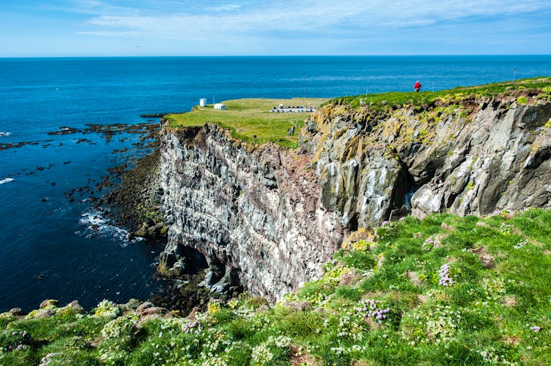Latrabjarg Felsen an den Westfjorden - ©©forcdan - stock.adobe.com